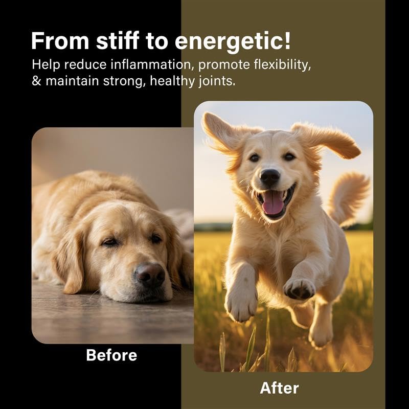 GOMUTTS Hip & Joint Care for Dogs (120 Soft Chews), Dog Hip and Joint Supplement with Glucosamine, Chondroitin & MSM - Supports Joint Health & Mobility for All Dog Breeds - Image 6