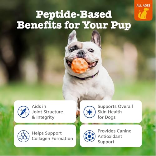 Image of Zesty Paws Multi Collagen Soft Chews for Dogs - for Hip, Joint & Cartilage Support + Skin Health - with Collagen - Plus Eggshell Membrane, Vitamin C & Hyaluronic Acid - 90 Count