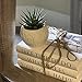 Juego de libros decorativos de 3 piezas Imagen de Juego de libros decorativos de 3 piezas