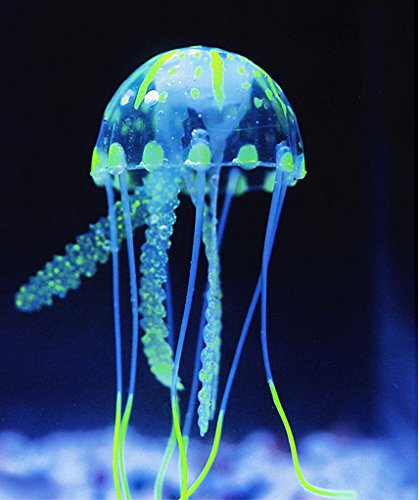 Aquarium (B01M14B5OT) Amazon Price History, Amazon Price Tracker