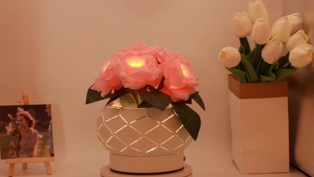 Image of Roses Flower Touch Lamp,Rechargeable Cordless 3-Colour Dimming Small Night Light for Festival,Dining Room,Bedroom Home Decor Birthday Gifts-6 Rose
