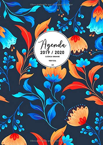 Agenda 2019 Empresa Lo Mejor De 2021 Resenas Y Ranking Opiniondeproductos Es