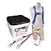 Harness and Lanyard Kit, Univ, 310 lb.