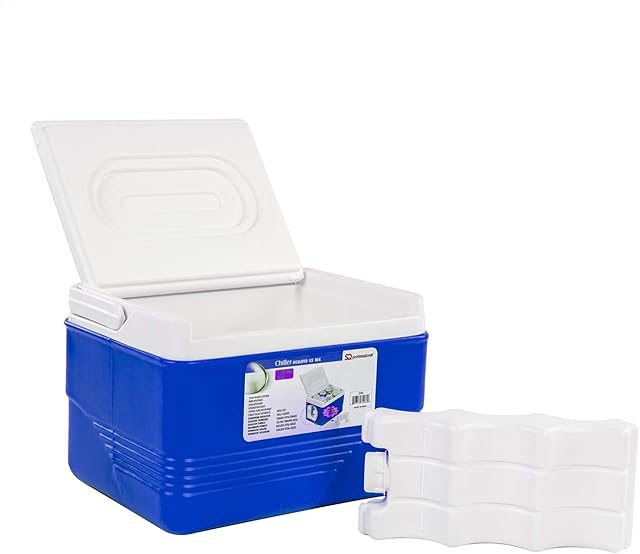 SQ Pro Ice Chest Cooler Box Camping Picnic Insulated Food Container (Blue, 6L)