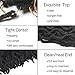 LEEONS 12inch 6Packs/Lot Boho Locs Curly Faux Locs Soft Hair Twist Braids Pre-loop Crochet Braiding Hair Dreadlocks Hair Extension 20Roots/Pack (12inch, 99J)