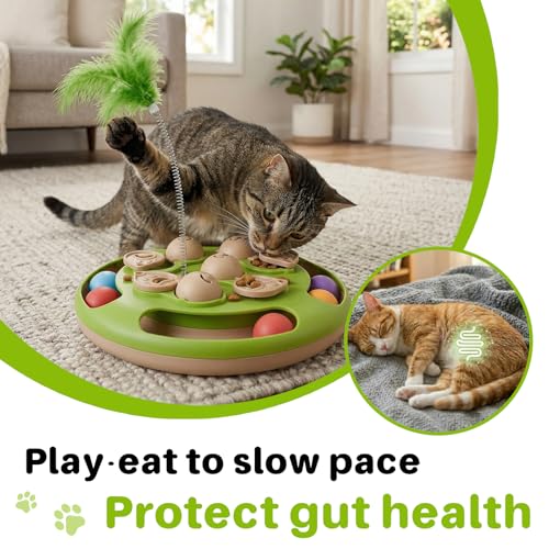 Jouet d'exercice de chasse pour chat d'intérieur actif