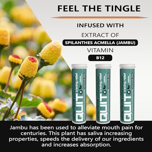 Image of Xero Picks Infused Flavored Toothpicks to Help Quit Smoking - Nicotine Free (Matcha, 3 Pack) Non-GMO Kosher Vegan