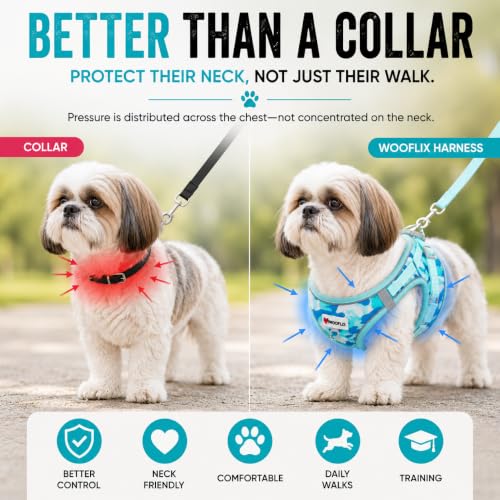 Image of Wooflix Reflective No Pull Dog Harness with Leash for Puppies, Small & Medium Breed Dogs, Adjustable Soft Breathable Padded Mesh Pet Harness Vest, Turquoise | Medium (2.5 kg - 4.5 kg Dogs & Cats)
