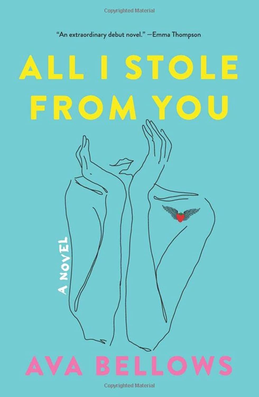 Buy All I Stole from You: A Novel — BookShops.in