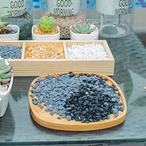 Image of 3lb Black Cactus Pea Gravel Rocks,1 /4 Inch Pebbles for Indoor Plants, Natural Succulent Rock and River Rocks Decorative for Aquariums, Vases, Outdoor Gardening, Top Dressing for Potted Plants