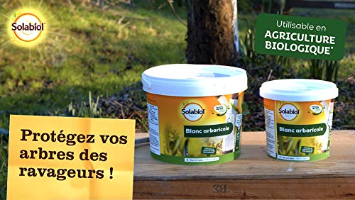 Blanc Arboricole Solabiol Éliminer Mousses et Champignons des Troncs