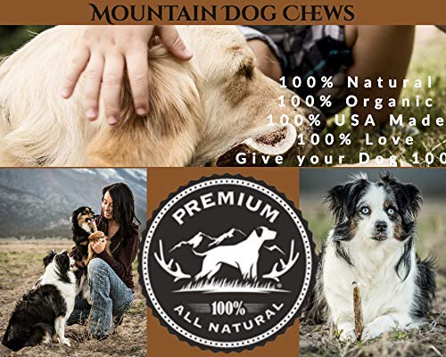 Mountain Dog Chews - Large Moose Paddle - Moose Antler Dog Chew - Grade A Premium - Organic - Made In Usa - No Mess #TOP3
