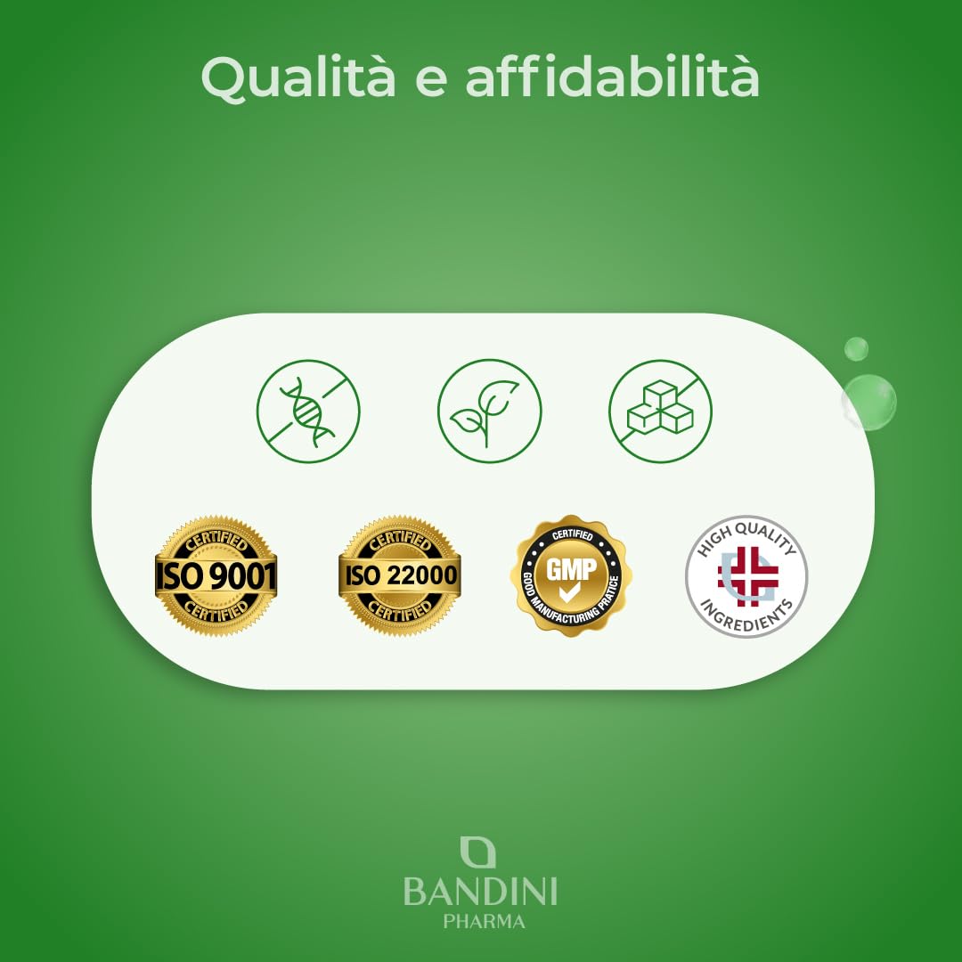 Bandini® DETOX SLIM 60 Capsule Vegan | Drenante, Antiossidante, Depurativo, Detossificante per Fegato e Intestino | Complesso di Estratti Vegetali: Bromelina, Tarassaco, Pilosella, Betulla