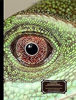 Low Vision Notebook Composition Book Bearded Dragon Reptile Eye: 160 Pages, 1/2 Inch Line Spacing, Dark Lined Paper for Vision Impairment, Softcover, Student Exercise Book 1725048450 Book Cover