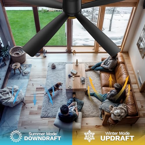 DWVO 52 Inch Ceiling Fans with Lights, Flush Mount Ceiling Fan with Remote Control, 3CCT Dimmable LED, Quiet Reversible DC Motor, 6 Speeds, 5 Blades Ceiling Fan for Bedroom, Living Room, Dining Room