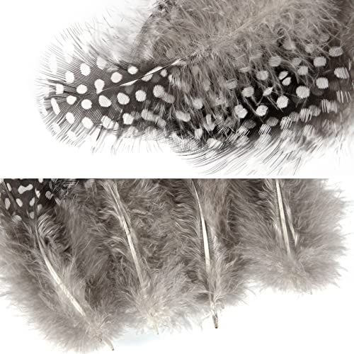 Tharaht Spotted Feathers 120Pcs 2-3Inch Small Natural Bulk Guinea Pheasant Feather For Crafts Hats Dream Catcher Decoration Feathers,Natural #TOP3