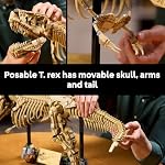 LEGO Jurassic World Fossiles de Dinosaure : Tyrannosaurus Rex - Ensemble de Construction pour Adultes, 18 ans et plus - Cadeau de Dinosaure pour les Amateurs de Films - Décor Collectible pour Chambre, Bureau ou Toute Pièce - 76968