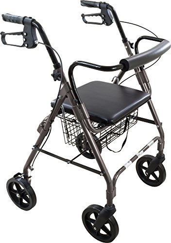 ProBasics 4 Wheel Medical Rolling Walker with Wheels, Seat, Backrest and Storage Pouch