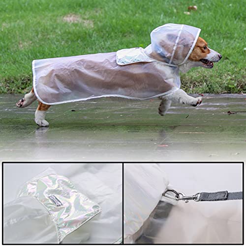 Edoxus Hunderegenmantel Haustier Verstellbar Regenjacke mit Kapuze Transparent Wasserdicht Hundejacke Eva Poncho für Kleine Mittlere Hunde, M