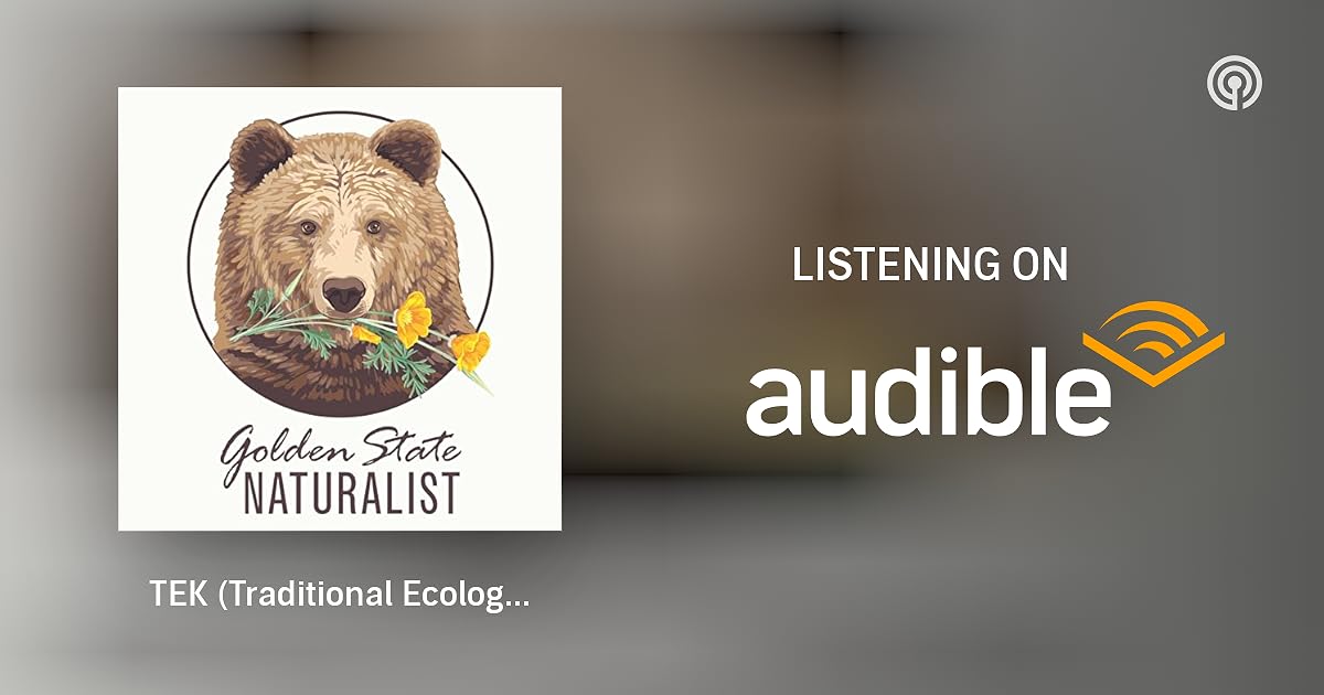 Beyond the Digital Line: Navigating the Living Maps of the Arctic Boreal – A Journey into Indigenous Ecological Knowledge