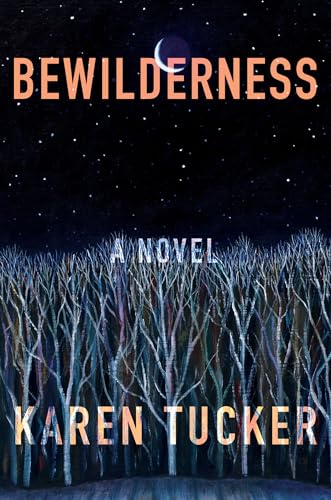 Bewilderness view 2
