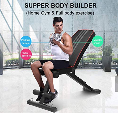 Yoleo Adjustable Weight Bench - Utility Weight Benches for Full Body Workout, Foldable Incline/Decline Bench Press for Home Gym Yoleo Adjustable Weight Bench - Utility Weight Benches for Full Body Workout, Foldable Incline/Decline Bench Press for Home Gym