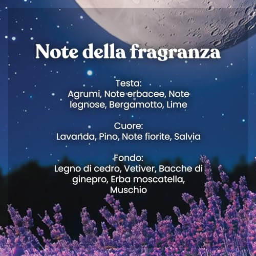 Yankee Candle Diffusore a Bastoncini | Midsummer Night | Per ambienti piccoli e medi | Fino a 10 settimane di fragranza - Immagine 3