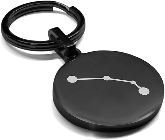 Stainless Steel Astrology Constellations Round Medallion Keychain Circle Ring