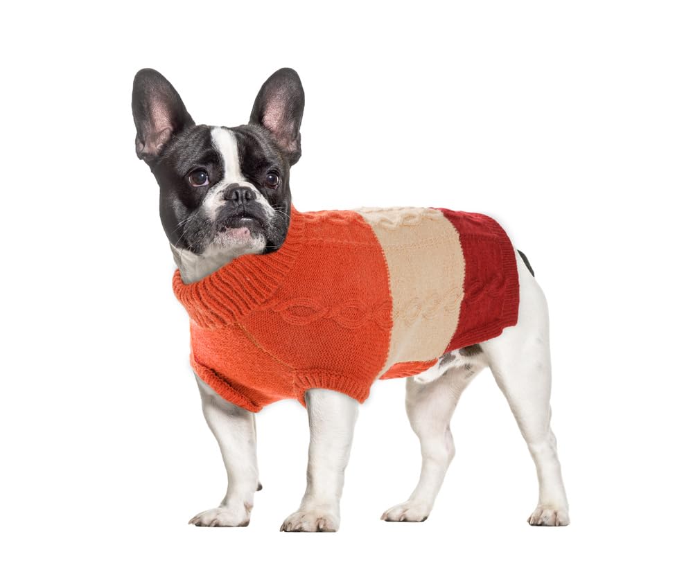 SHIAOMIN Dog Knitted Turtleneck Sweater - Dog Warm Pullover Color Block Cable Knitwear, Doggie Winter Clothes for Cats and Small Dogs Chihuahua, Bulldog (Orange, M)