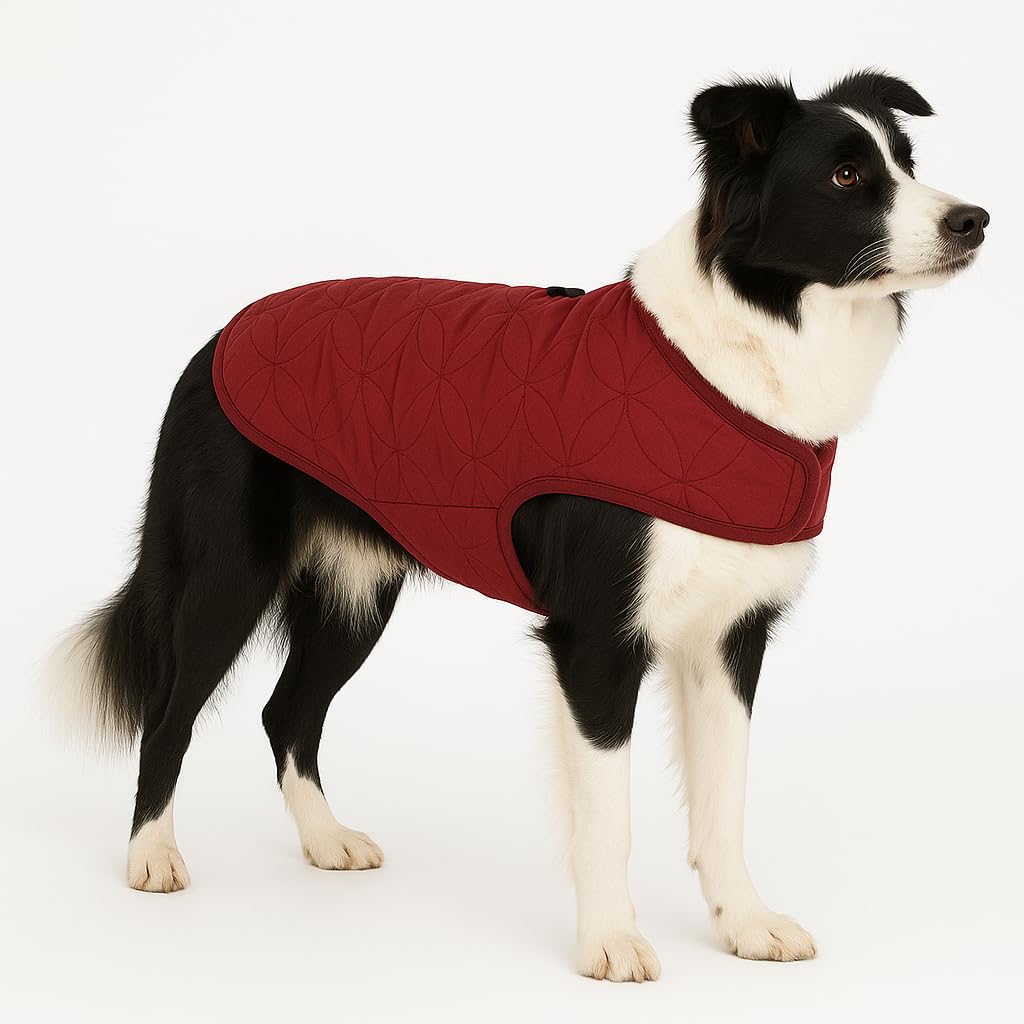 Flamingo WINTER COAT KODA BURGUNDY 50CM