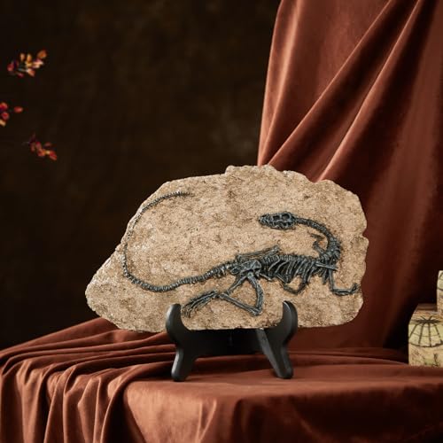Image of 1st Heaven Resin Dinosaur Fossil Sculpture - Realistic Dinosaur Skeleton for Desk & Wall Display, Prehistoric Jurassic-Era Dino Decor, Unique Gift for Dino Lovers & Home Decor (Dromaeosaurus)