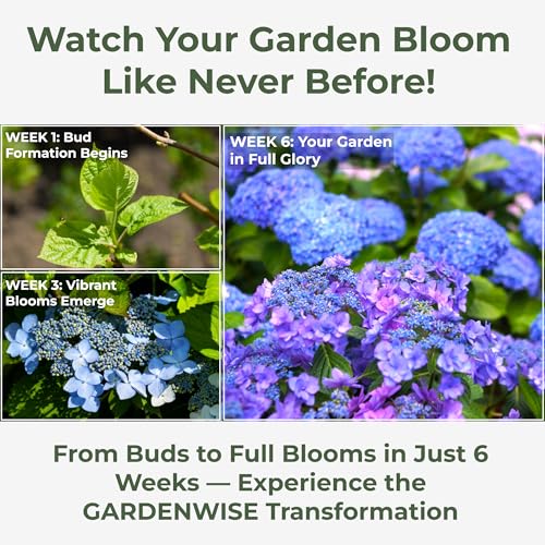 Image of GARDENWISE Slow Release Hydrangea Fertilizer with Iron & Sulfur - Indoor & Outdoor Soil Acidifier for Miracle Growth (2 qt)