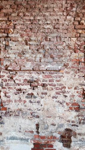 Livingwalls WTD 383351 Papier peint photo intissé Motif briques industrielles Rouge/gris 1,59 x 2,80 m