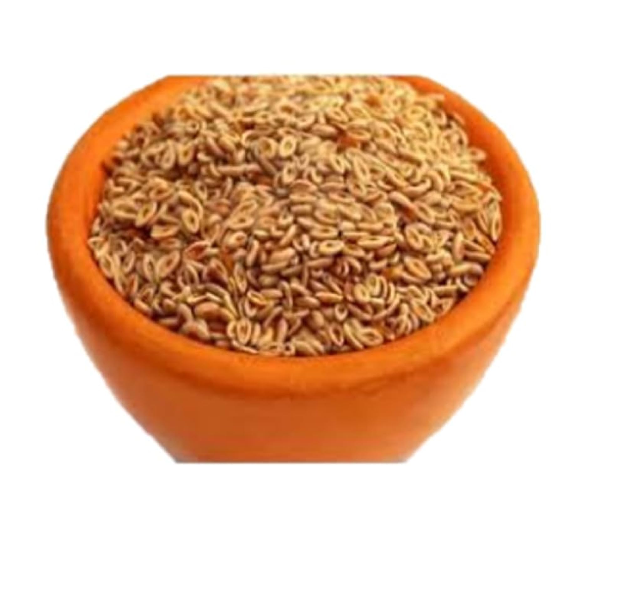 YUGANTAR ISABGHOL SEEDS, 100 g
