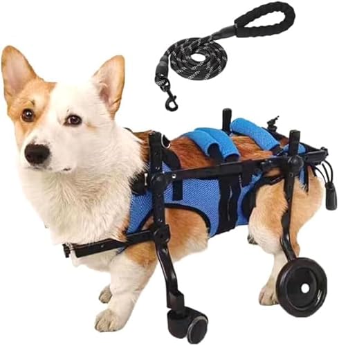 Nozuma �y�b�g�Ԉ֎q �L�����p �T�C�Y�����\ 4 �֕��s�� ��჌㑫�p���⏕���s�� �V�����n�r�����J�[�g (M �T�C�Y)