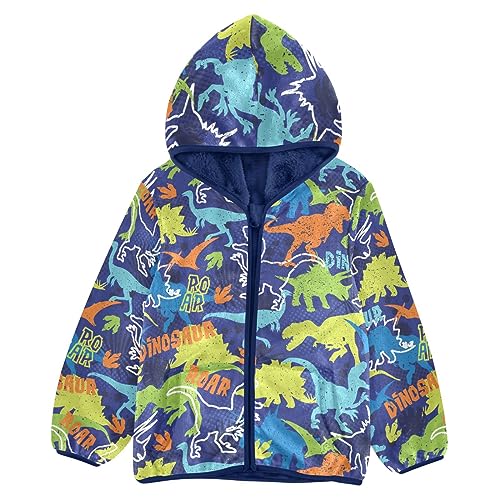 Bright Colorful Dinosaur Boys Fleece Hoody Jacket Zip Up Coat Warm Fall Winter Plush Jacket Long Sleeve Outerwear