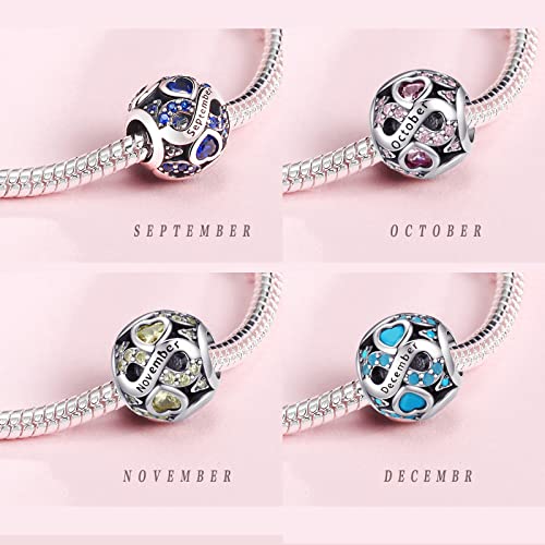 LNQOBU Birthstone Charm 925 Sterling Silver for Bracelets or Necklace With 5A Cubic Zirconia Birthday Charm Mother's Day Gifts (With One Spacer Beads)4