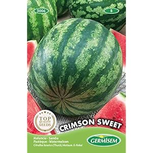 Germisem EC5006 Crimson Sweet Watermeloen Zaden 3 g