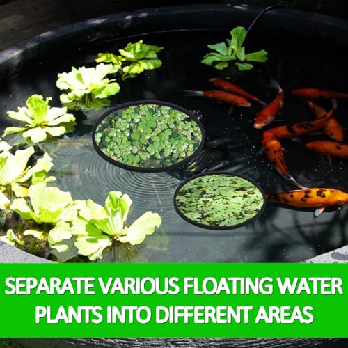 Image of 5 PCS Aquarium Feeding Ring Floating Feeder Ring Floating Plant Corral Aquarium Floatings Plant Rings Fish Feeder Rings for Fish Tank 5 Sizes Round Plants Corral for Keeping Plants in Place (Black)