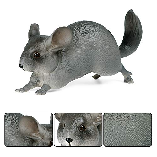 Amazon.co.jp: チンチラフィギュア リアルなプラスチック製 野生