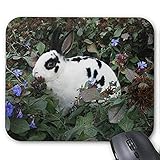 YENDOSTEEN Alfombrilla de ráton del Juego mousemat Conejo Precioso Mousepad Serie Mini Rex Conejo de Conejito Mousepad Conejo de Conejito Alfombrilla De Ratón Rectángulo Alfombrillas De Raton