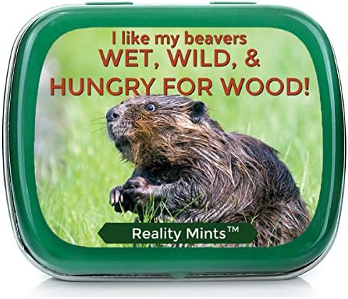 I Like Beavers Mints for Friends Easter Gifts for Adult Naughty Stocking Stuffers Best Friend Novelty Gifts for Men Peppermint Breath Mints I Love Beaver Gag Gifts Weird White Elephant IDE