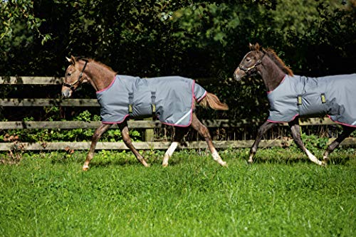Amigo Foal Turnout Blanket 60 Navy - Thumbnail 4