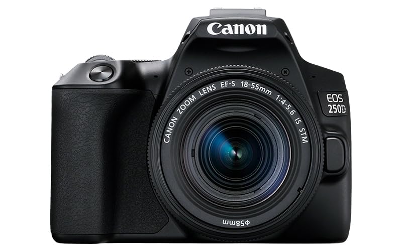 Video 4K per un'incredibile risoluzione
