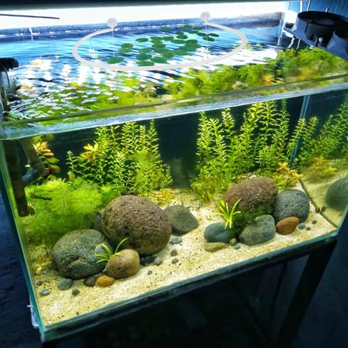 Image of 2 Sets Aquarium Floating Plant Corral, Clear Cuttable Aquarium Plant Barrier, Accessories Intercepting Floating Plants Adjust Height with Water Level for Fish Shrimp Tank