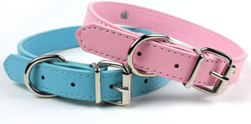 dog grooming bathing system