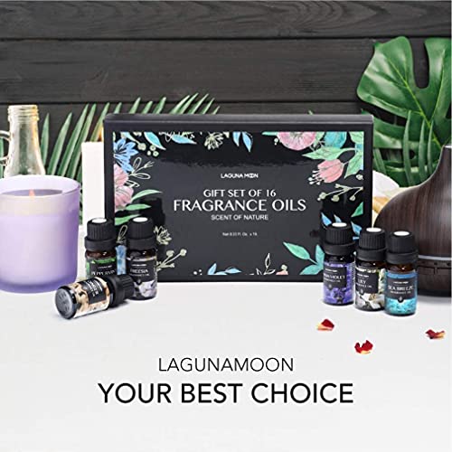 Fragrance Oils Gift Set TOP 16 Aromatherapy Premium Grade Oils Kit Fragrance Oils for Candle Making, Soap Making, Diffuser, Perfume, Bath - 10ml/Bottle - Image 7