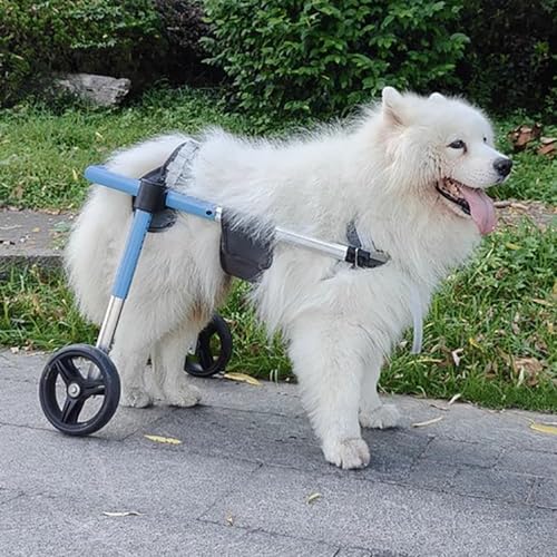 Silla de ruedas para perros grandes y pequeños con soporte ajustable para lesiones de LCA y LCC 2