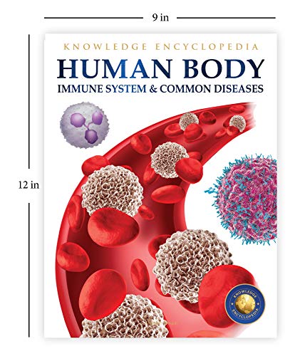 Image of Human Body - Immune System And Common Diseases: Knowledge Encyclopedia For Children