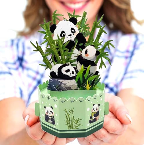 Caughttui Panda Birthday Card 3D Panda Card for Kids Pop Up Birthday Gift for Girls and Panda Lovers Panda Birthday Decorations with Note Card and Luxury Envelope